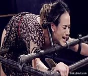 Bound Brunette Caned And Whipped Porndroids