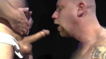 Amazing bears going brutal together