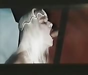 VIDEO PORNO VIDEO PORNO CHATROULETTE ITALIA JALECO SESSO E PIACERE CANE CORSO ITALIANO