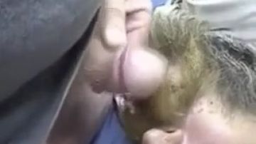 Seasoned studs hot oral compilation video