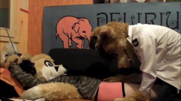 Unusual furries fucking film