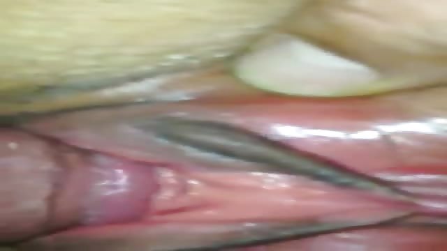Pinky Pussy Bilder